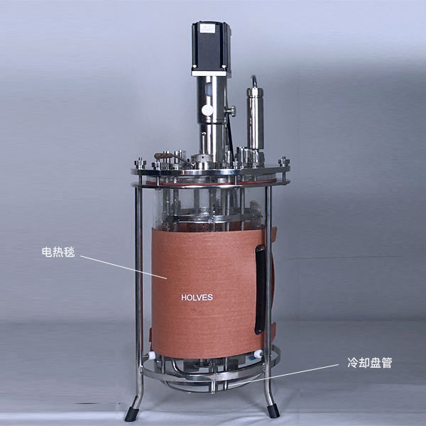 lewin乐玩（HOLVES）实验发酵罐