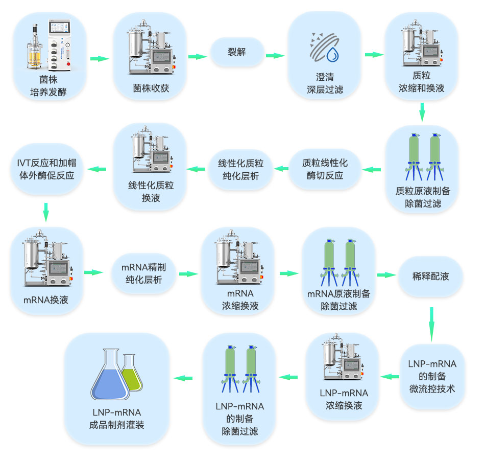 LNP-mRNA成品的工艺流程 LNP-mRNA成品的工艺流程
