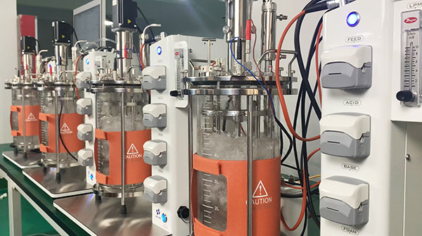 lewin乐玩发酵罐