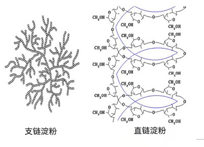 淀粉糖结构 淀粉糖结构