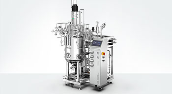 不锈钢生物反应器